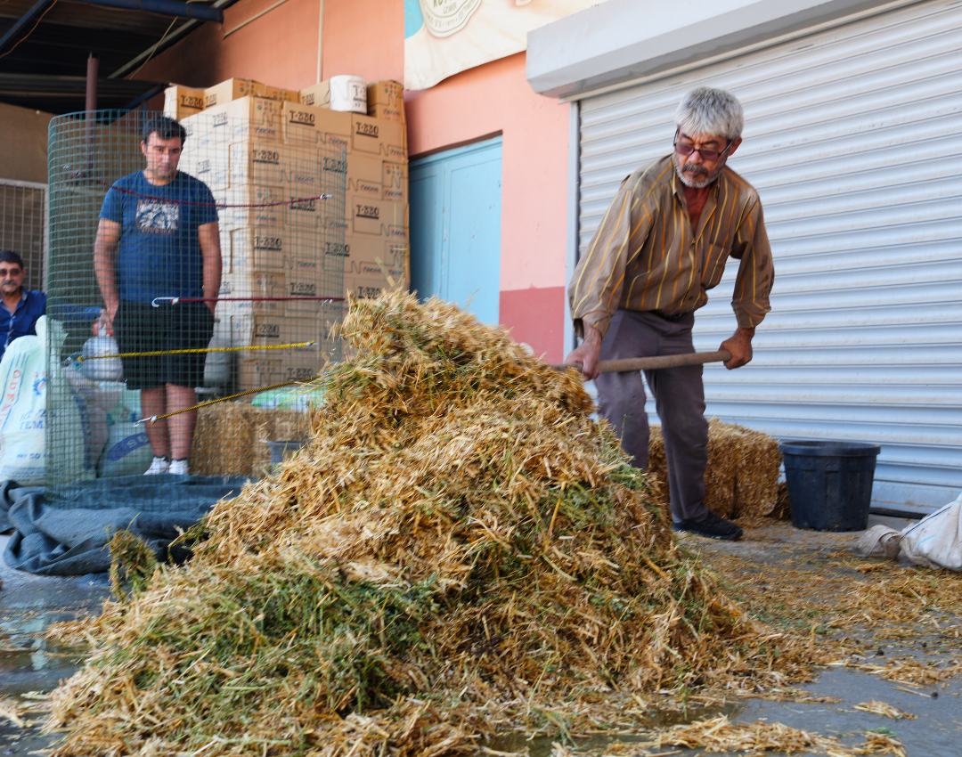 İklim Dostu Çiftlikler Projesiyle Tarımda Dönüşüm Başladı