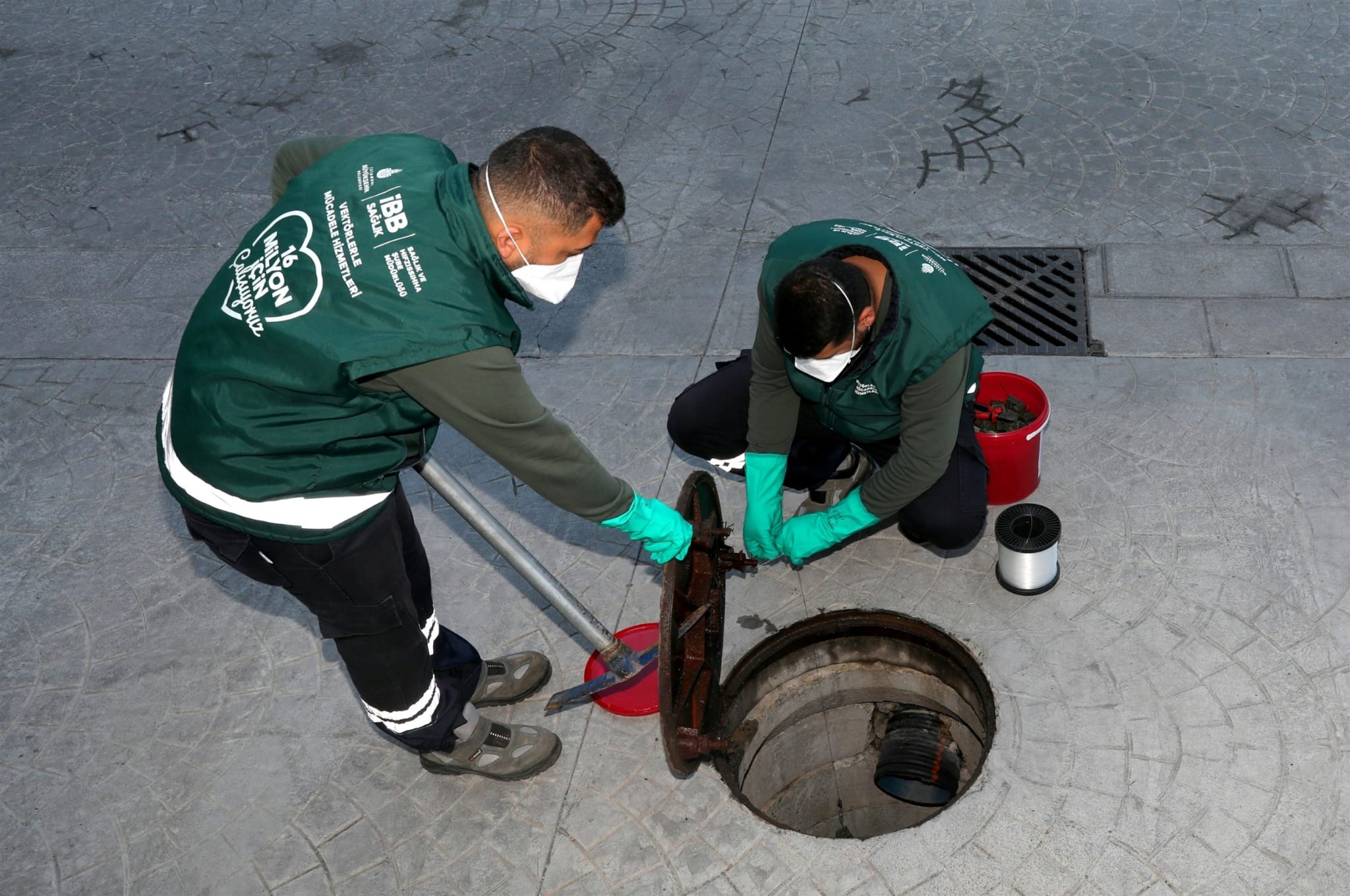İBB, Esenyurt’taki Kemirgen Sorununa Hızlı Müdahale: Kontrolsüz Besleme Uyarısı
