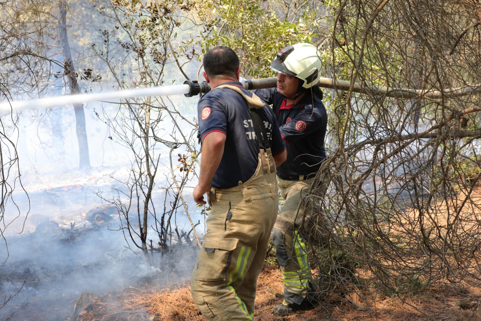 İBB Ekipleri Bursa’daki Orman Yangınına Destek İçin Harekete Geçti: 60 Personel ve 24 Araç Sevk Edildi