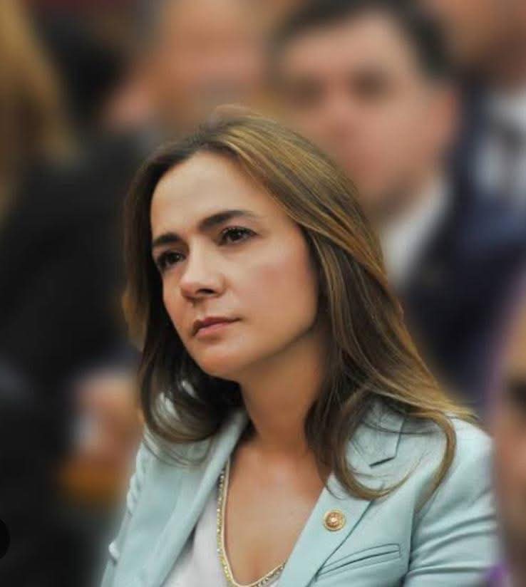 CHP İstanbul Milletvekili Gamze Akkuş İlgezdi Trafik Kazası Geçirdi