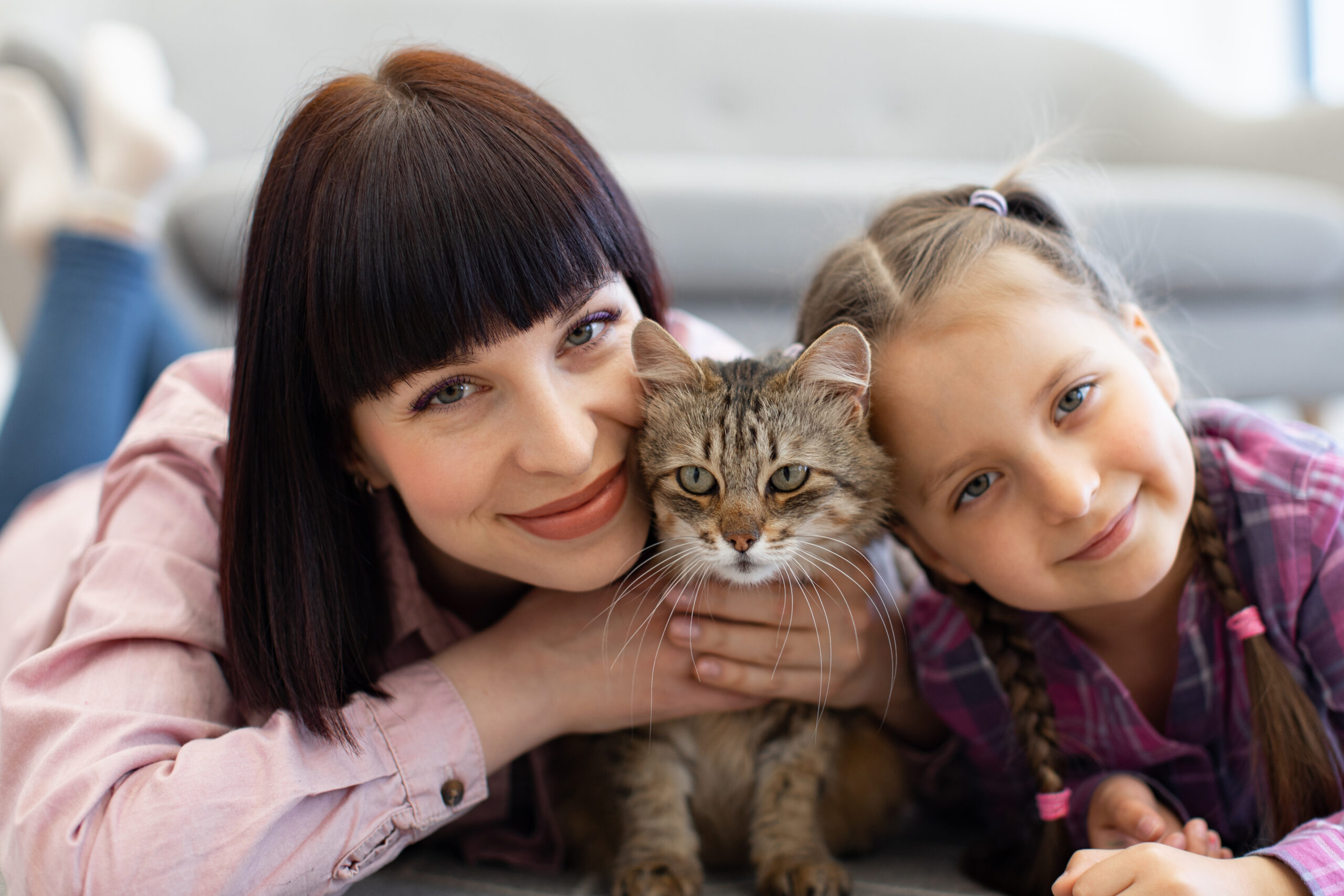 Kediler Görünmez Kahramanlarımız mı? Royal Canin’den 8 Ağustos Uluslararası Kedi Günü’ne Özel Araştırma