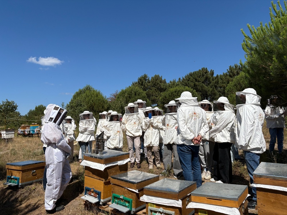 Kadın Eliyle Arı Sütü Devrimi: Balparmak’tan Aydos’ta İlham Veren Ziyaret