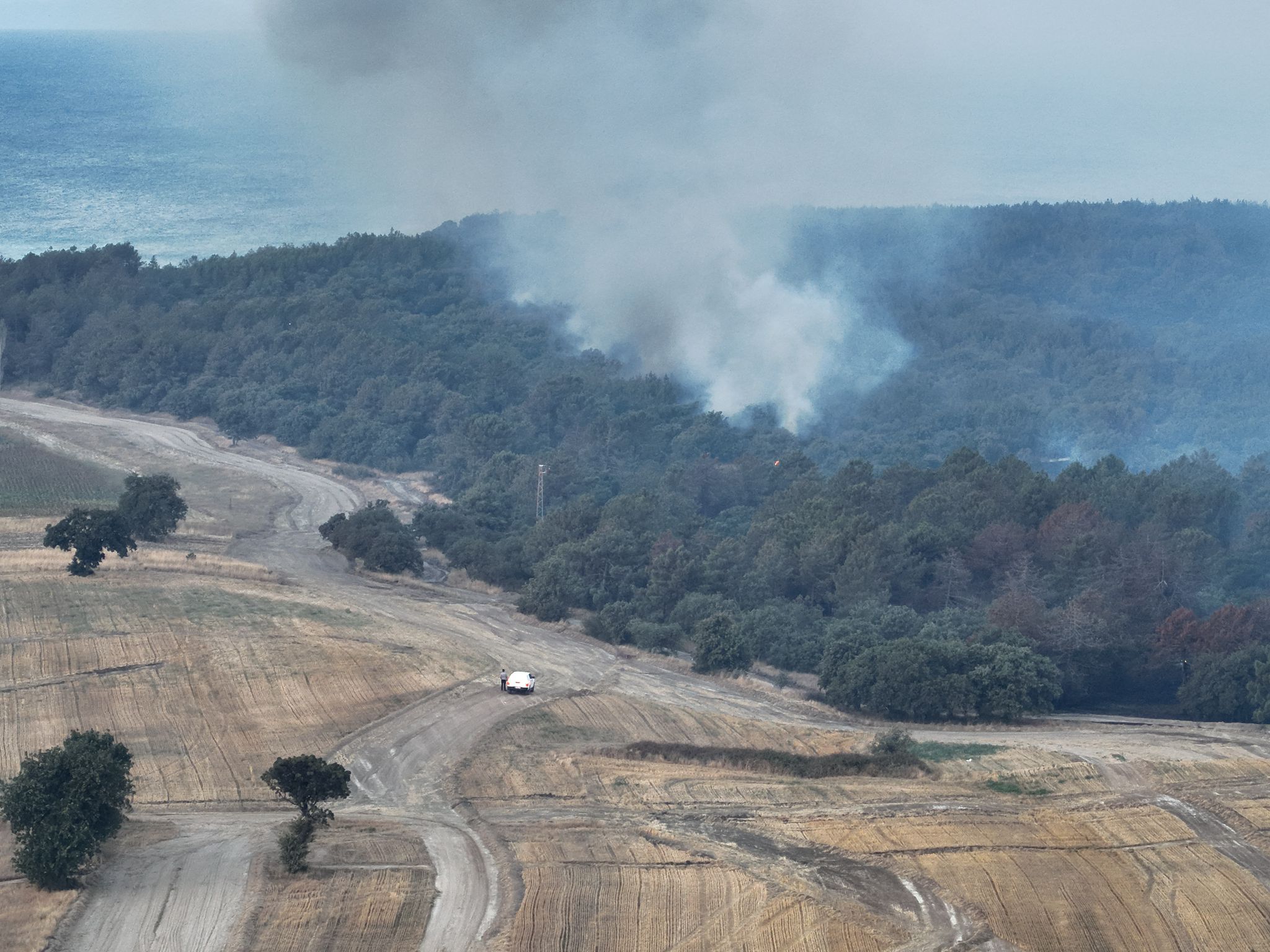 İstanbul İtfaiyesi Ekipleri Çanakkale Yerine Enez’deki Orman Yangınına Sevk Edildi