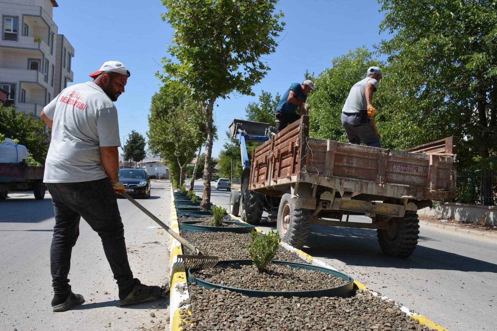 Zile’de Çevreci Kent Hedefi: Kuru Peyzaj Uygulamaları Yaygınlaşıyor