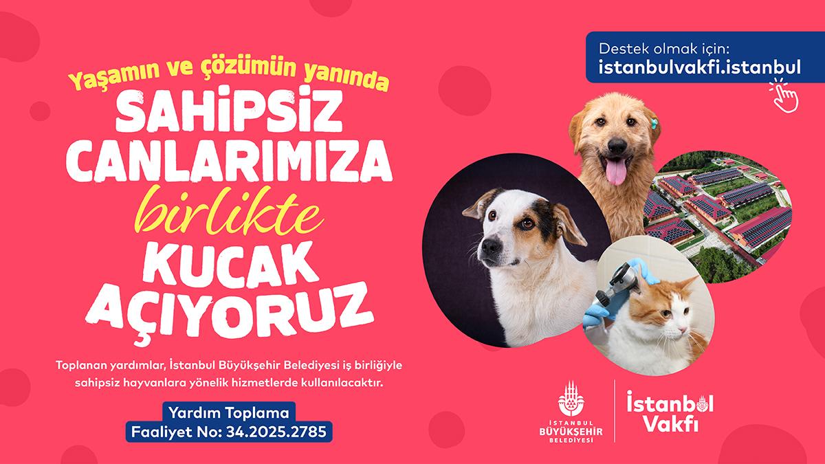 İstanbul Vakfı’ndan Sahipsiz Hayvanlara Destek Çağrısı