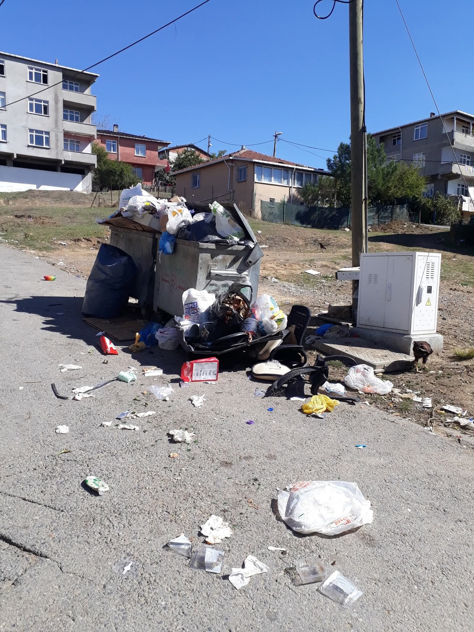 Pendik Yayalar Mahallesi’nde Çöp Tepkisi: “Temizlik Yapılmıyor!”
