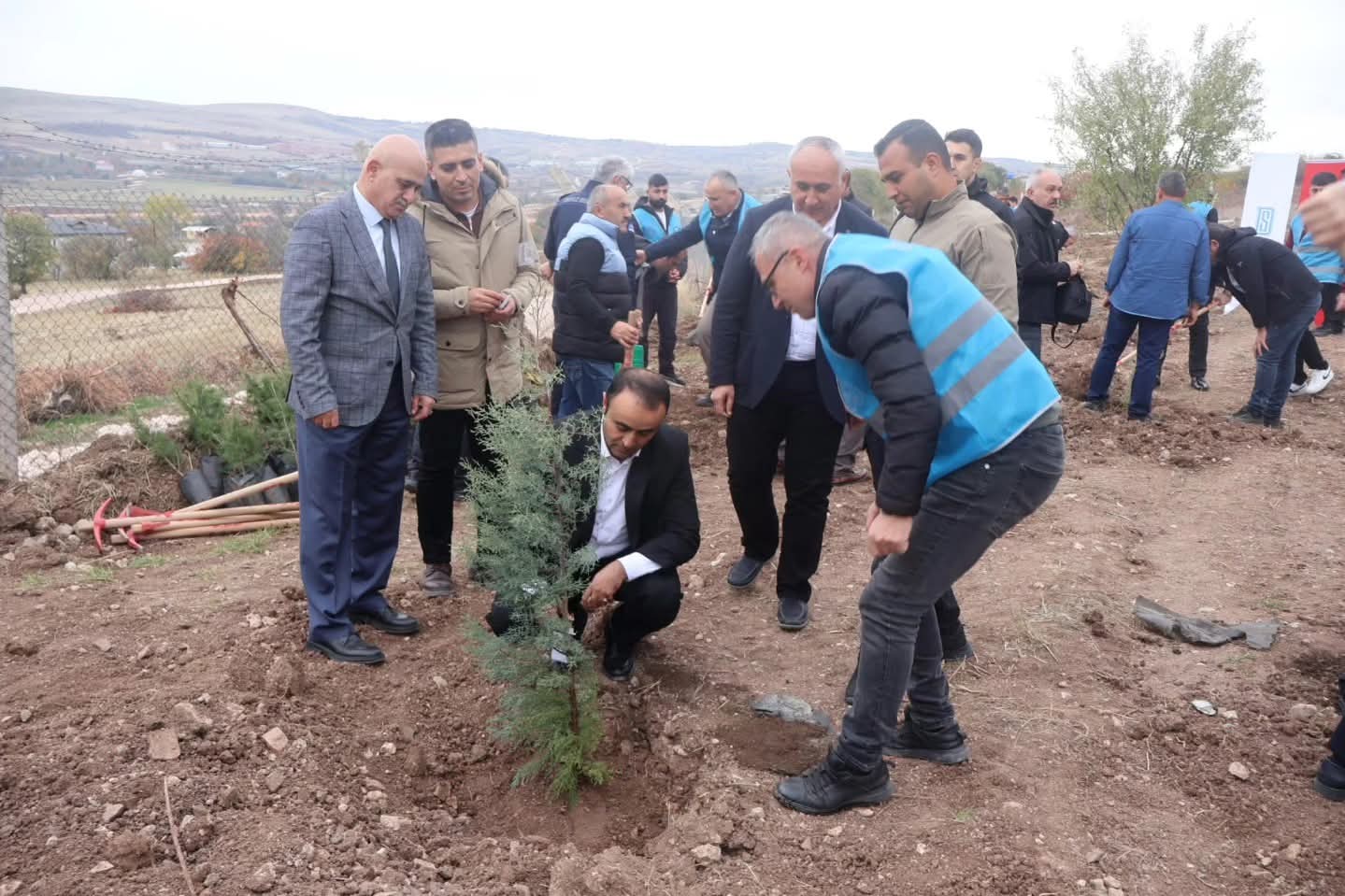 Zile’de Yeşil Vatan Seferberliği: Kaymakam Çağlar Tekin, Fidan Dikimi Etkinliğine Katıldı
