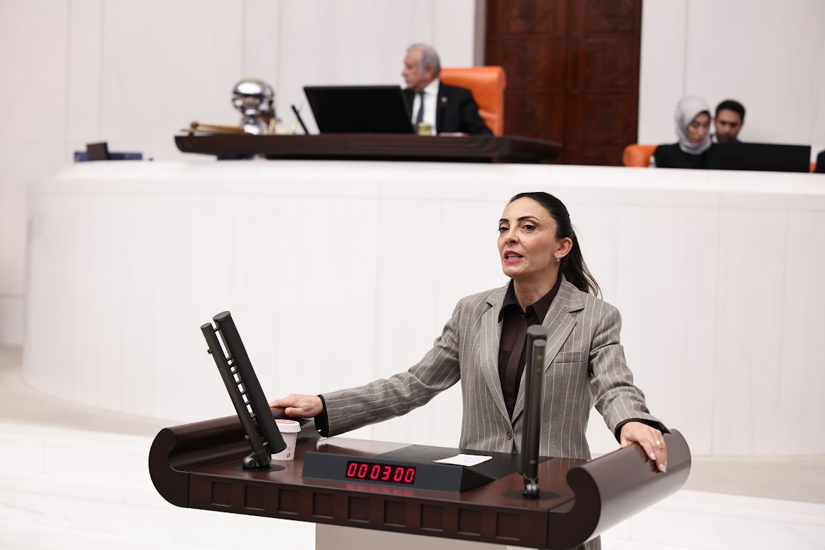 CHP’li Altaca Kayışoğlu’ndan Gurbetçilerin Sesi: "Sıla Yolu Çileye Dönüşmesin!"