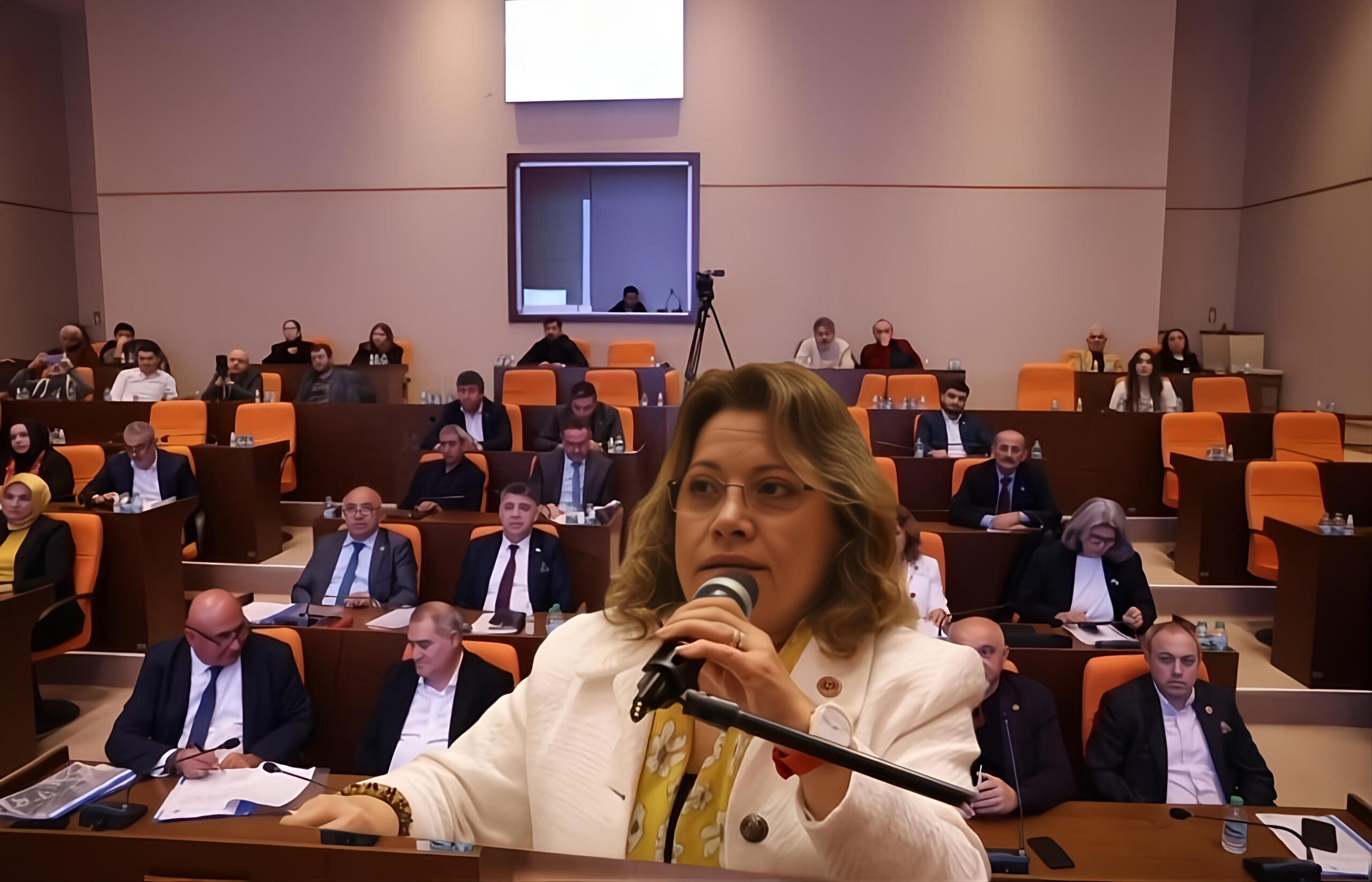 CHP’li Meclis Üyesi Saadet Çertez: “Emekli Dilenci Haline Düşürüldü”