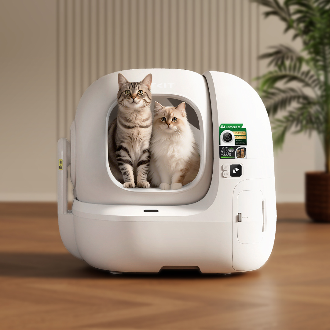 Kediler İçin Akıllı Sağlık Takibi: Yeni Nesil Kedi Tuvaleti Tanıtıldı