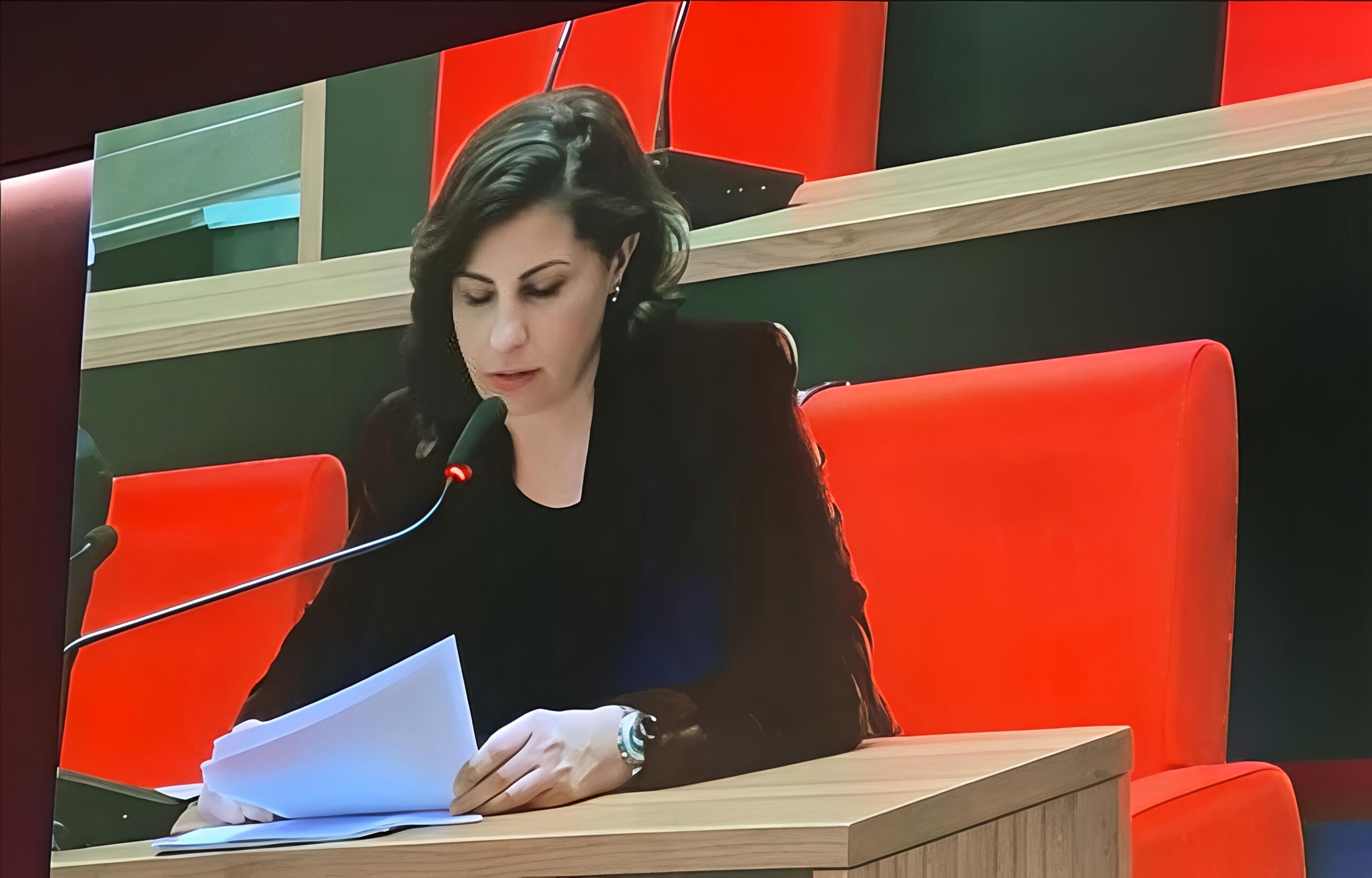 CHP’li Sevim Toprak’tan Eşitlik Temelli Yerel Politika Çağrısı