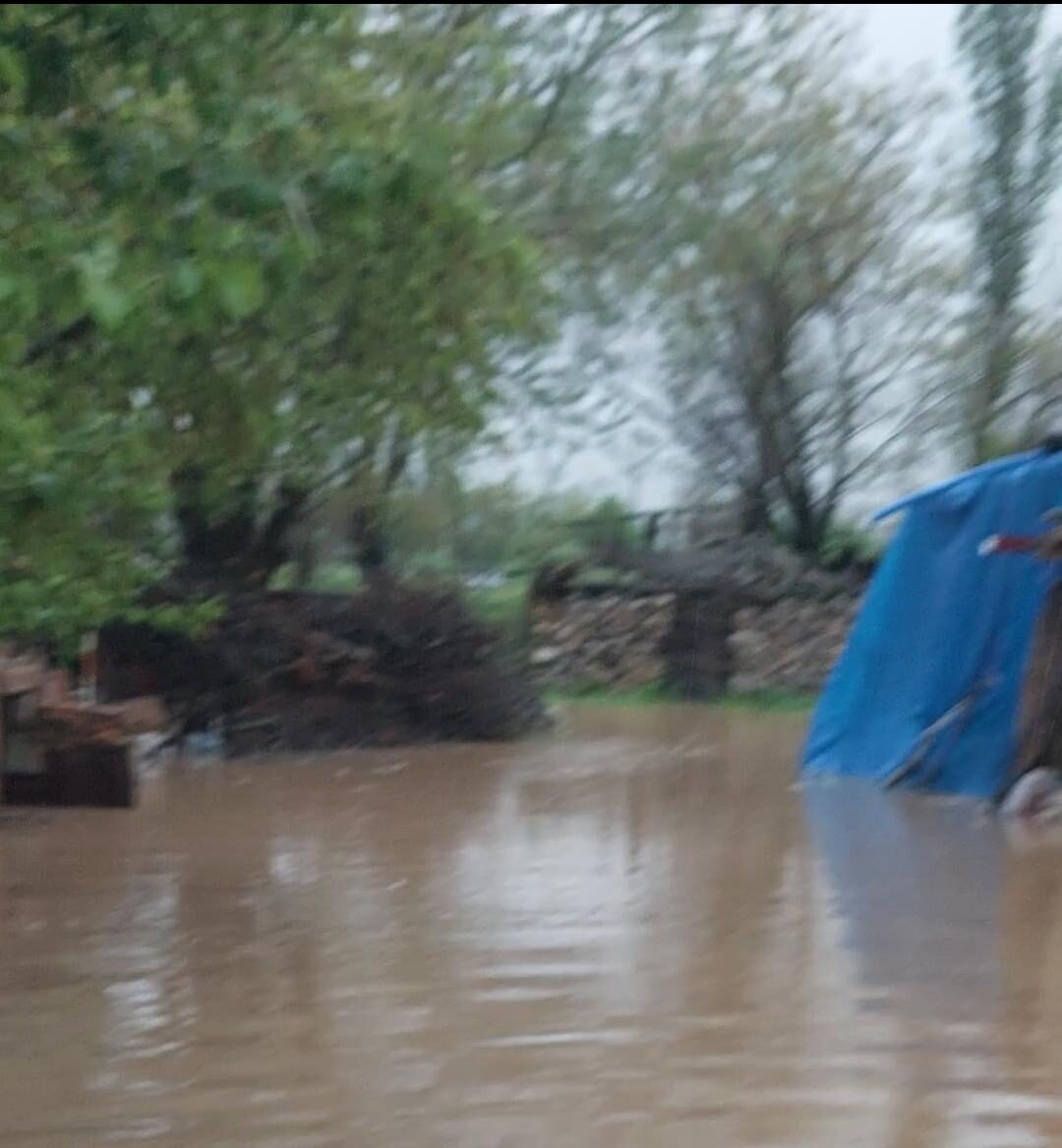 TOKAT’IN ZİLE İLÇESİNDE SEL FELAKETİ: HAYVANLAR SON ANDA KURTARILDI