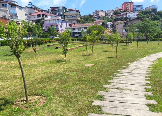 İSTANBUL PARKLARINDA YENİ DÖNEM: İBB’DEN "DALINDAN MEYVE" PROJESİ!