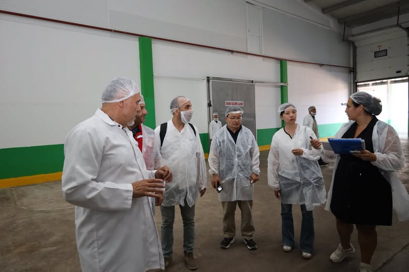 Türk Kirazına Çin Vizesi Yakın: Teknik Heyet Ege ve Akdeniz Bahçelerini Mercek Altına Aldı