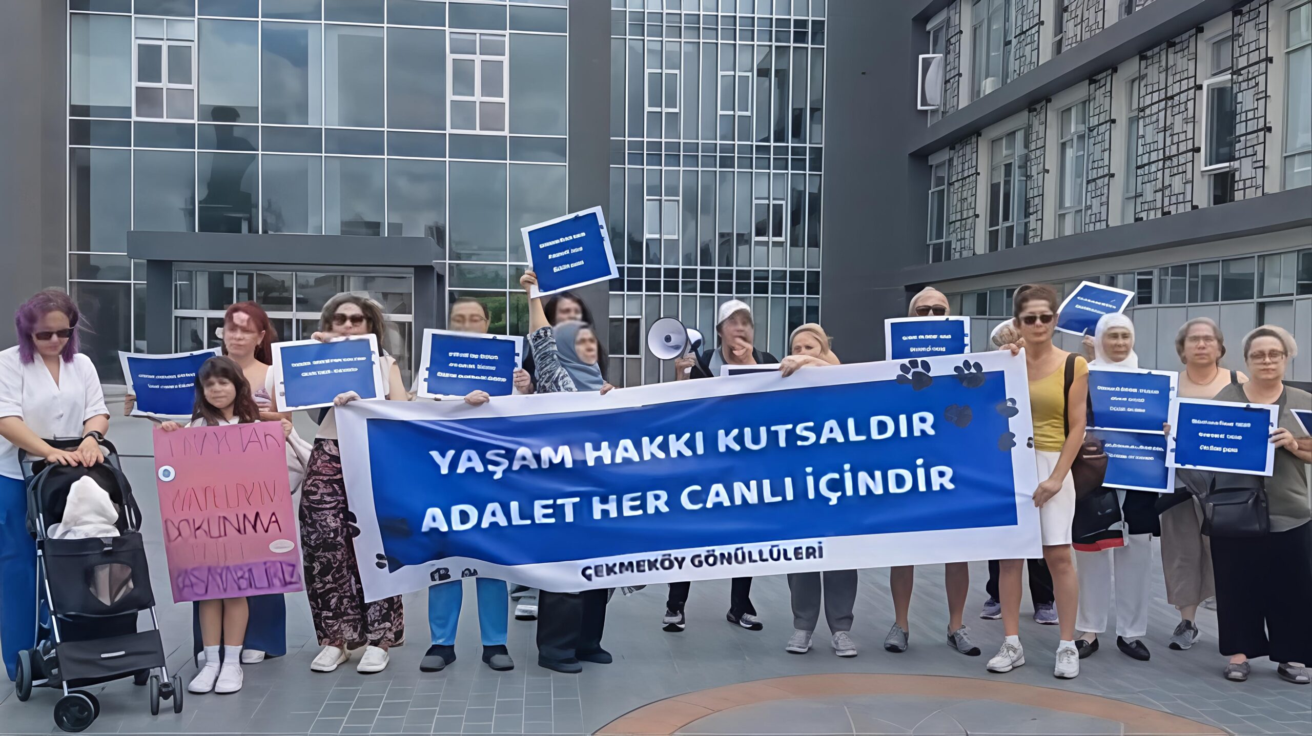 Çekmeköy Belediyesi Önünde Hayvanseverlerden Protesto: "Ömerli Bakımevi'ndeki İddialar Araştırılsın"