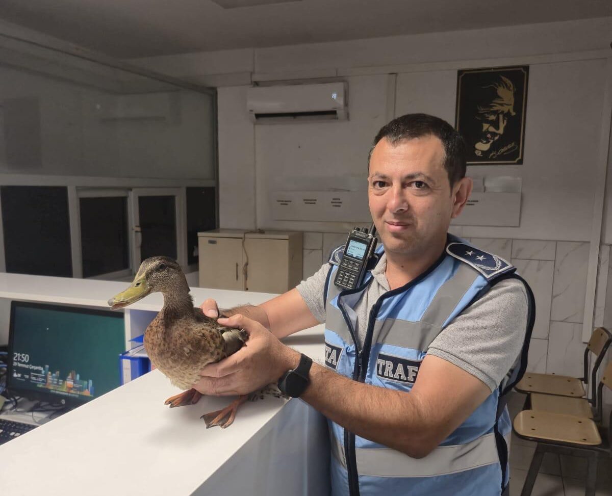 İzmir’de Zabıta Ekiplerinden Yürekleri Isıtan Kurtarma